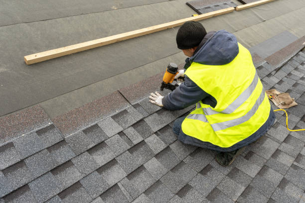 Best Roof Maintenance Services  in Newaygo, MI