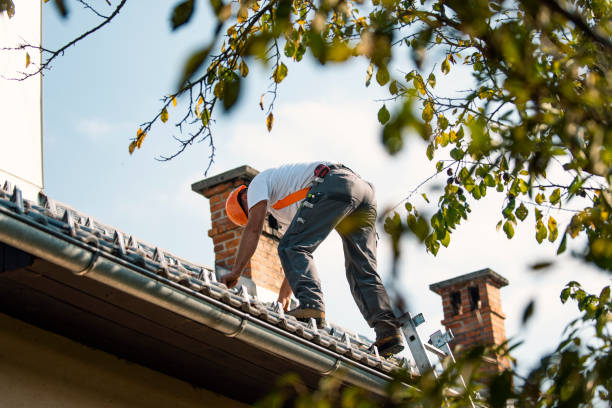 Gutter Installation and Roofing in Newaygo, MI