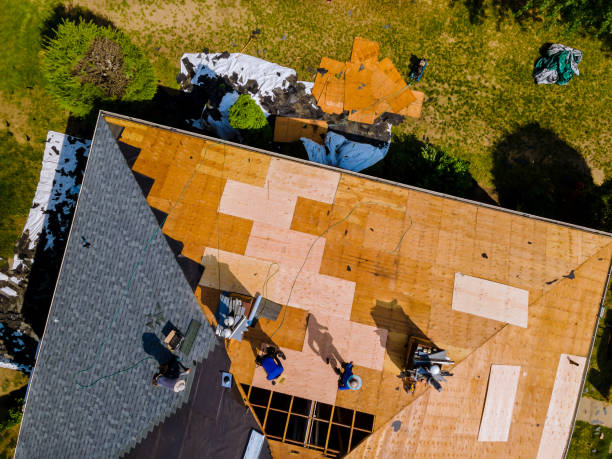 Best Roof Inspection Near Me  in Newaygo, MI
