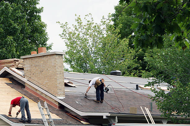 Professional Roofing Contractor in Newaygo, MI