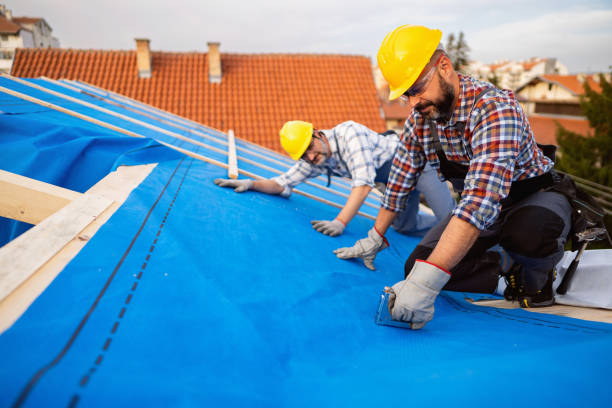 Quick and Trustworthy Emergency Roof Repair Services in Newaygo, MI