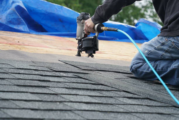 Best Flat Roof Repair Services  in Newaygo, MI