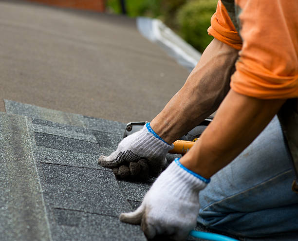 Best Local Roofing Companies  in Newaygo, MI