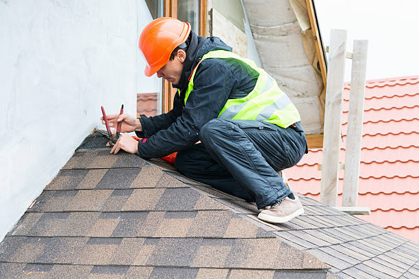 Roof Waterproofing Services in Newaygo, MI
