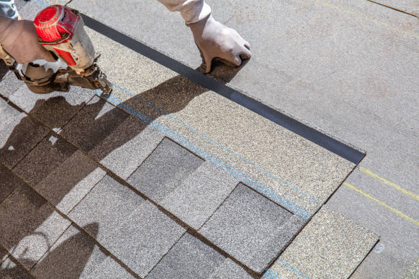 Best Shingle Roofing Installation  in Newaygo, MI
