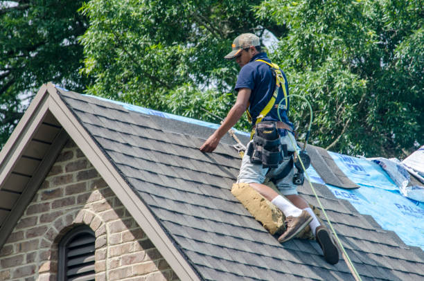 Best Storm Damage Roof Repair  in Newaygo, MI